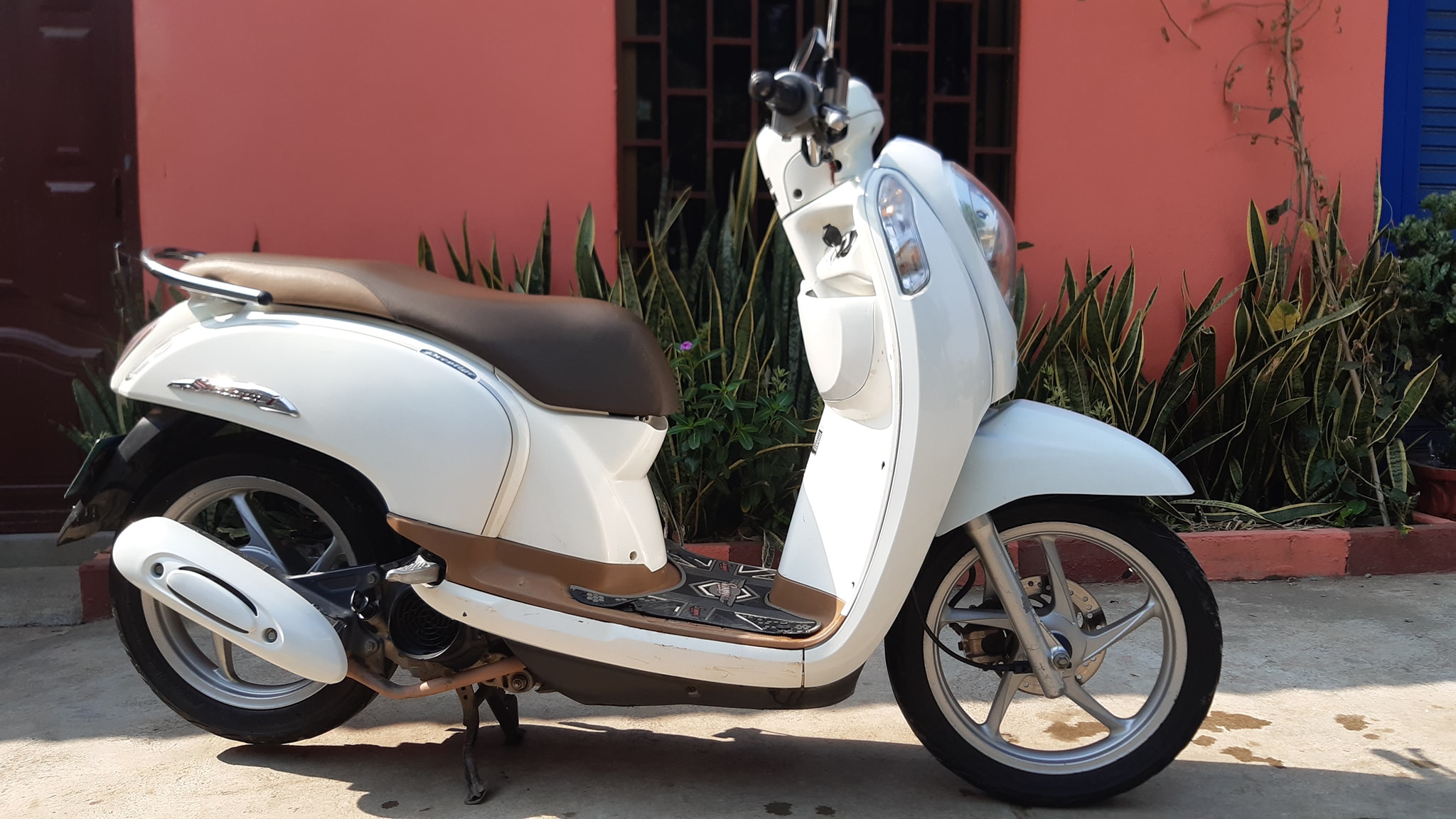 Honda Scoopy 2014
