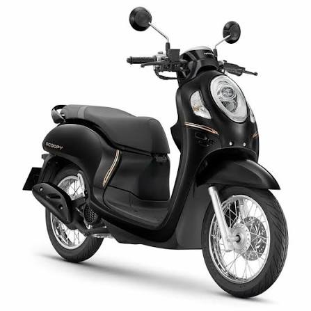 Scoopy 2022