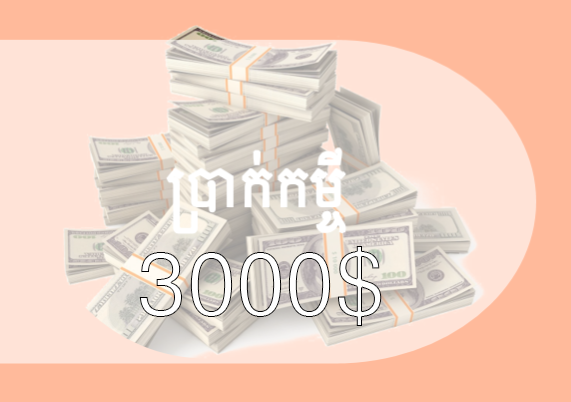 កម្ចី 3000$